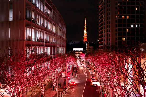 东京圣诞灯饰。和东京塔。图片下载