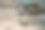 海滩上岩石上的海鸥图片下载