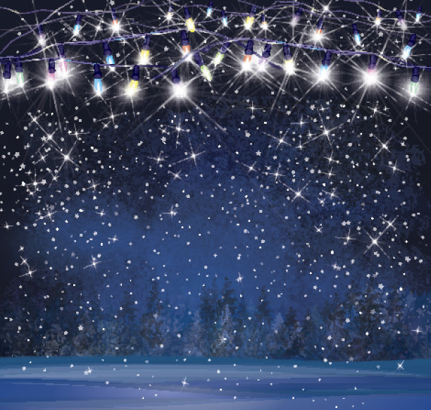 矢量圣诞灯在夜晚仙境背景。图片下载