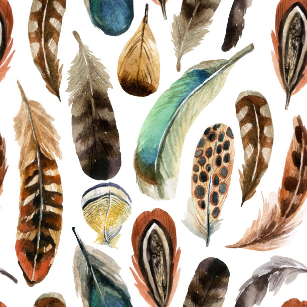 水彩羽毛背景图片下载