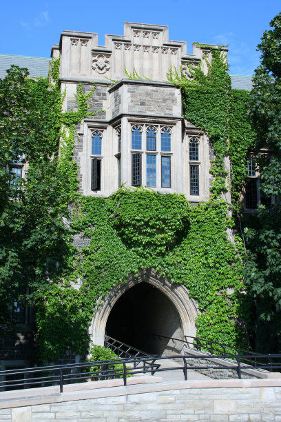 常春藤覆盖的大学建筑图片下载