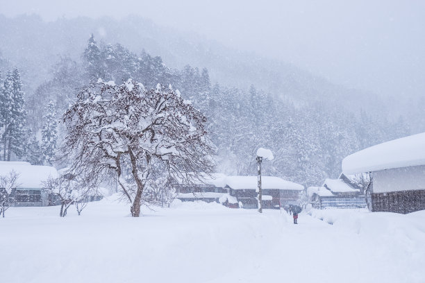 日本白川吾的冬季景观图片下载