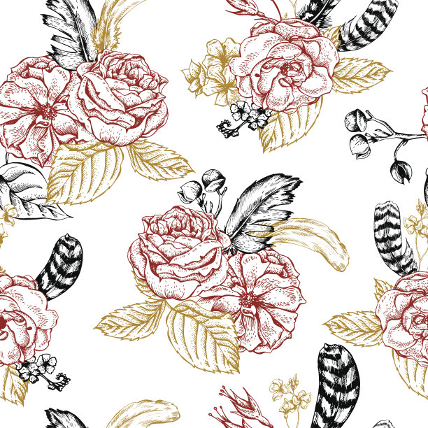 花无缝背景玫瑰和羽毛图片下载