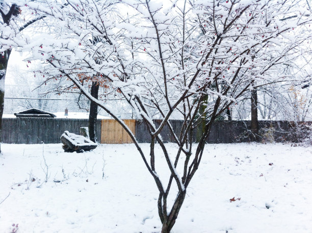 早期的降雪图片下载