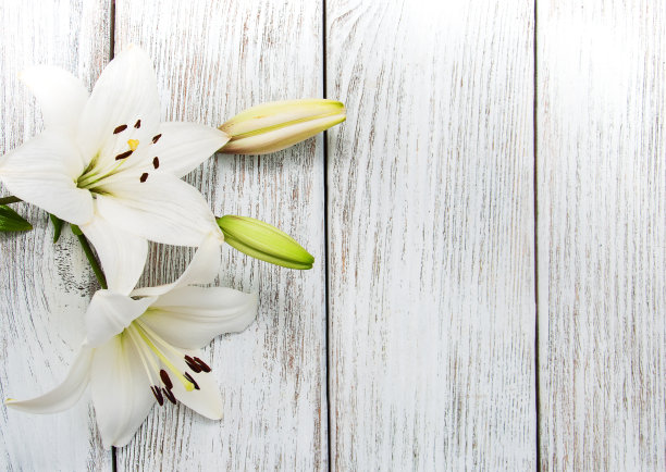 百合花图片素材ID：132427090