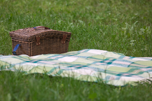 布朗柳条篮子图片下载