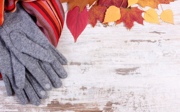 女性的羊毛衣服和秋叶，文字复制空间图片下载