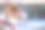 狗肖像特写镜头图片下载