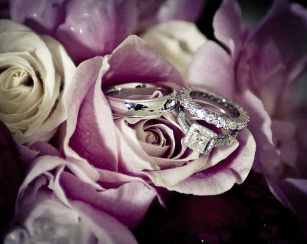 结婚戒指和玫瑰图片下载