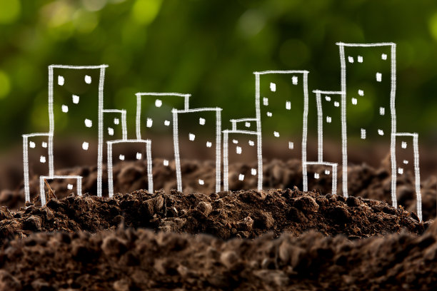 房子在土壤中生长图片下载