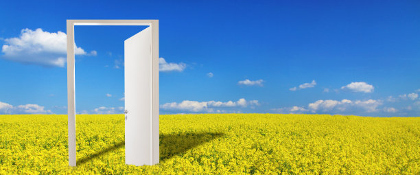 油菜地里的门框图片下载