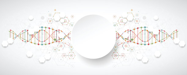 科学模板，带有DNA分子的横幅。素材图片