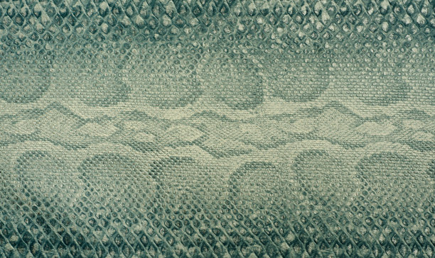 蛇的皮肤背景图片下载