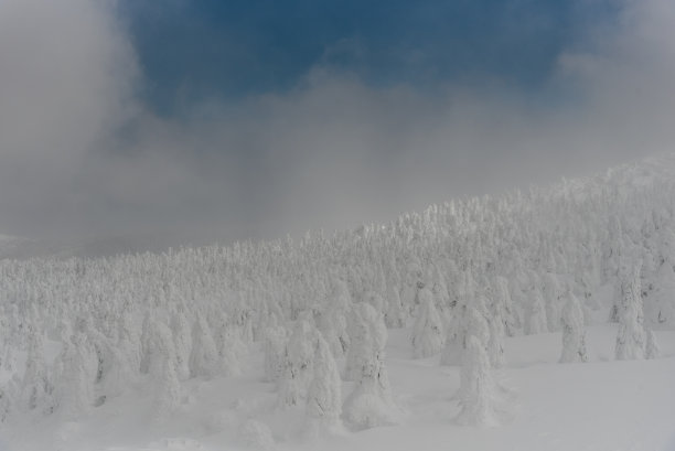 造山雪怪图片下载