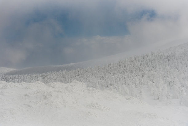 造山雪怪图片下载