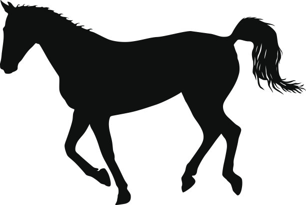 剪影的黑色野马马矢量插图素材图片