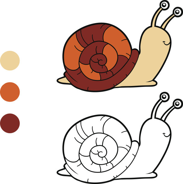 涂色书、涂色页(蜗牛)图片下载