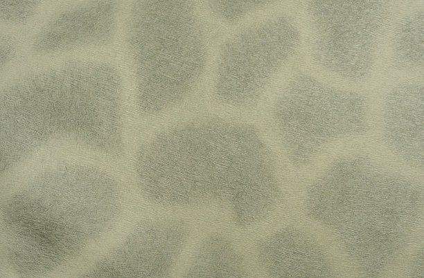 长颈鹿皮肤纹理图片下载