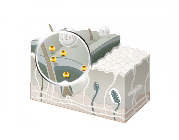 缩放皮肤图层图片下载