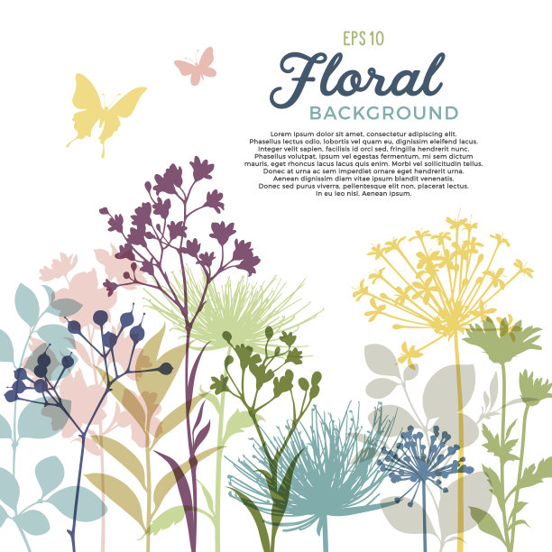 春天花的背景和与野花，枝和茎的边界素材图片