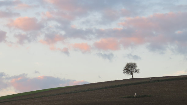 农村的场景图片下载
