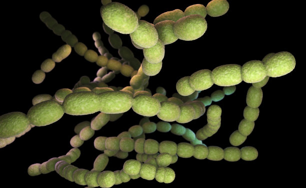 链球菌引起的肺炎图片下载