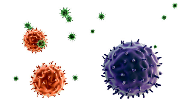 淋巴细胞和病毒图片下载