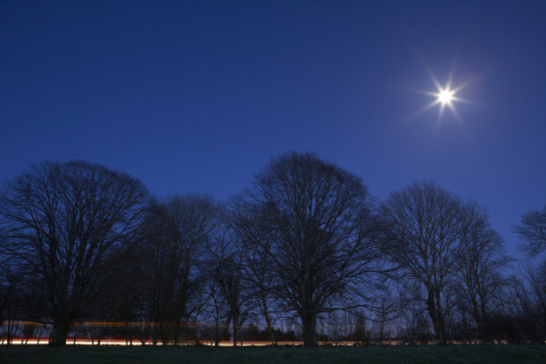 晚上汽车在木头上亮着灯图片下载