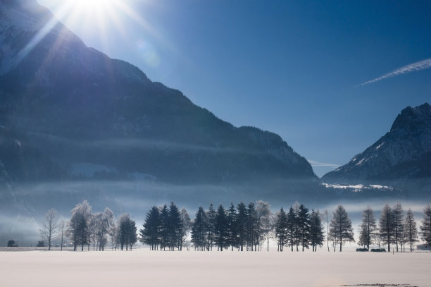 冬天的早晨图片下载