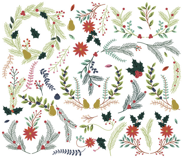 矢量收集复古风格手绘圣诞假日花卉图片下载