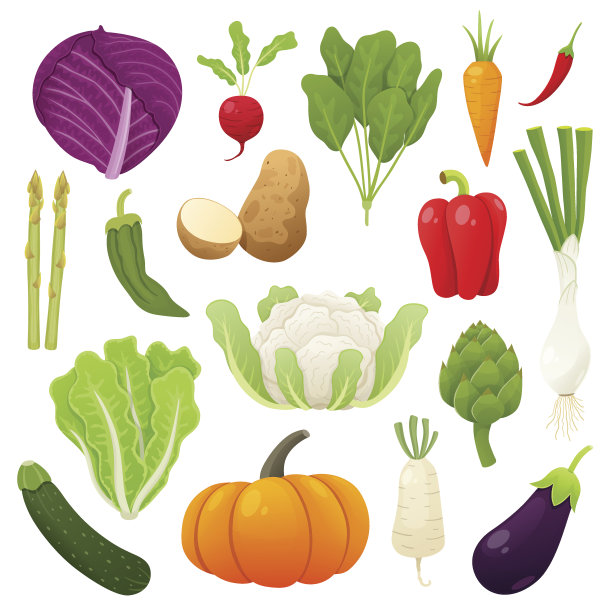 可爱和美味的蔬菜收集。矢量插图。素材图片