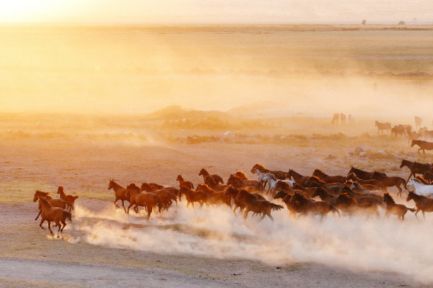 很久以前，凯塞里图片下载