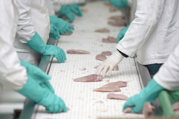 禽肉食品加工业素材图片