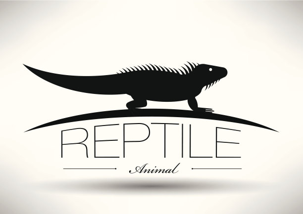 爬虫图标与排版设计图片下载