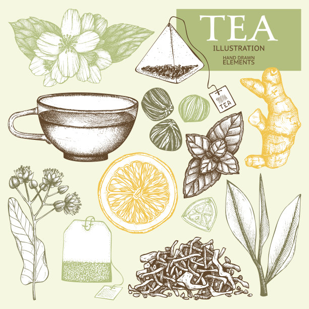 装饰墨古茶素描。素材图片