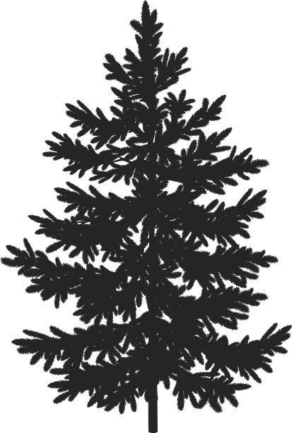 圣诞云杉冷杉树剪影素材图片