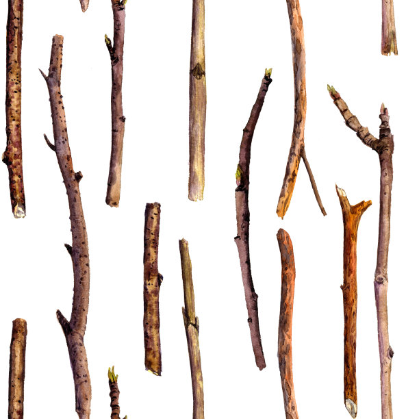 无缝模式与水彩木枝图片下载