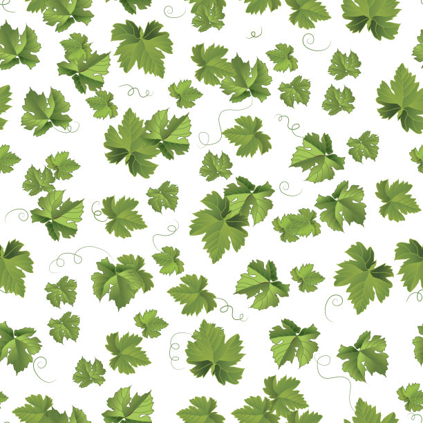 幼苗叶片无缝矢量格局图片下载