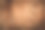 树木图片素材ID：132572476