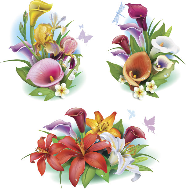 热带花卉插花图片下载