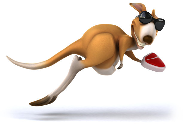 有趣的袋鼠图片下载