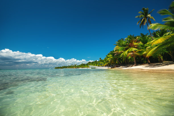 天堂般的热带岛屿海滩景观图片下载