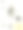 矢叶，花和果实的松树。图片下载