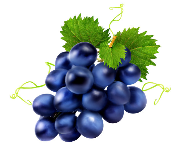 葡萄孤立在白色上图片下载
