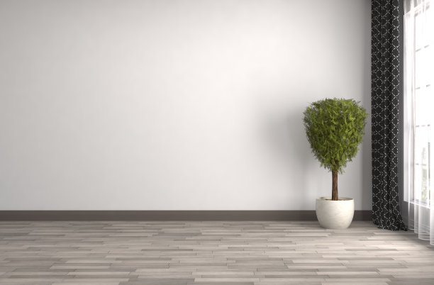 内部有大窗户。三维演示图片下载