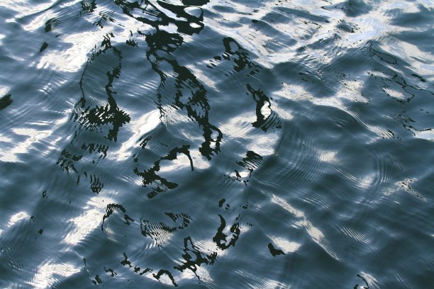 水面上泛起涟漪图片下载