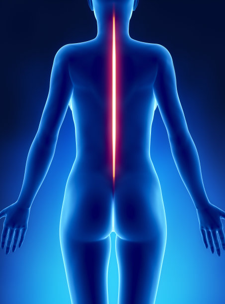 好姿势脊柱概念图片下载