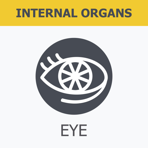 内脏-眼睛。图片下载