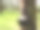 亚洲橡胶种植园图片下载