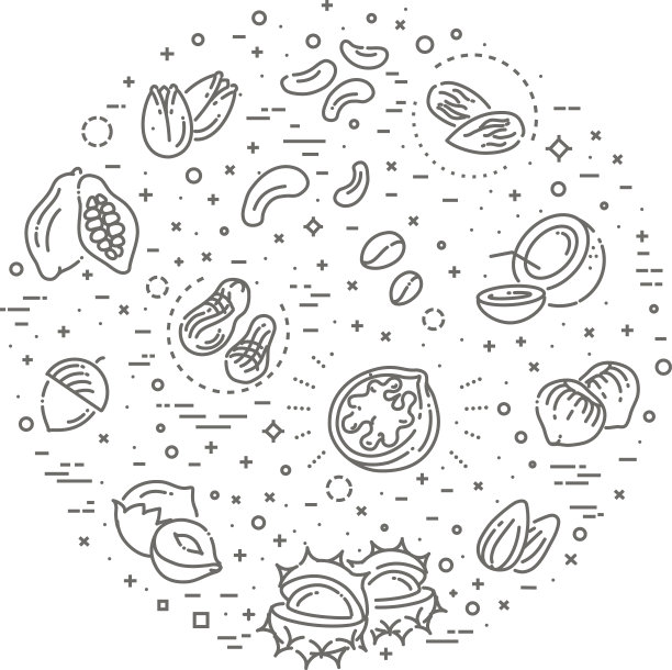 网页图标收集-坚果，豆类和种子图片下载